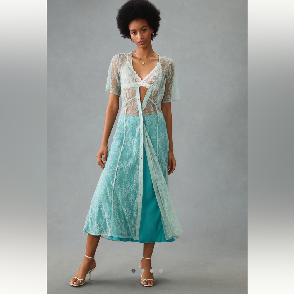 NWT Anthropologie Sheer Lace Button Down Dress in Mint - S